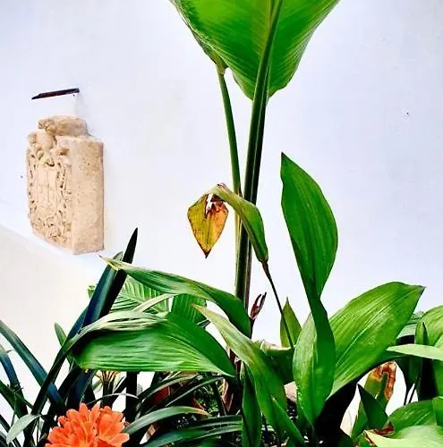 La Alberca De Farinas Sanlúcar de Barrameda